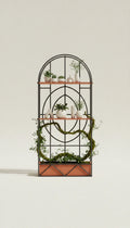 Handcrafted forged iron arched trellis shelf with terracotta shelves, built-in planter, and living moss vines
