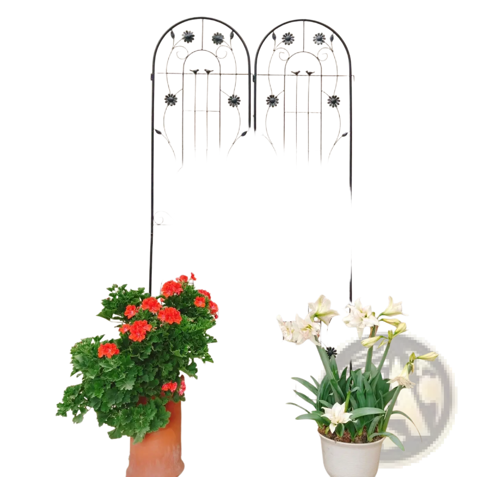 Metal Garden Trellis 2 Pack Arched Rose Flower Support