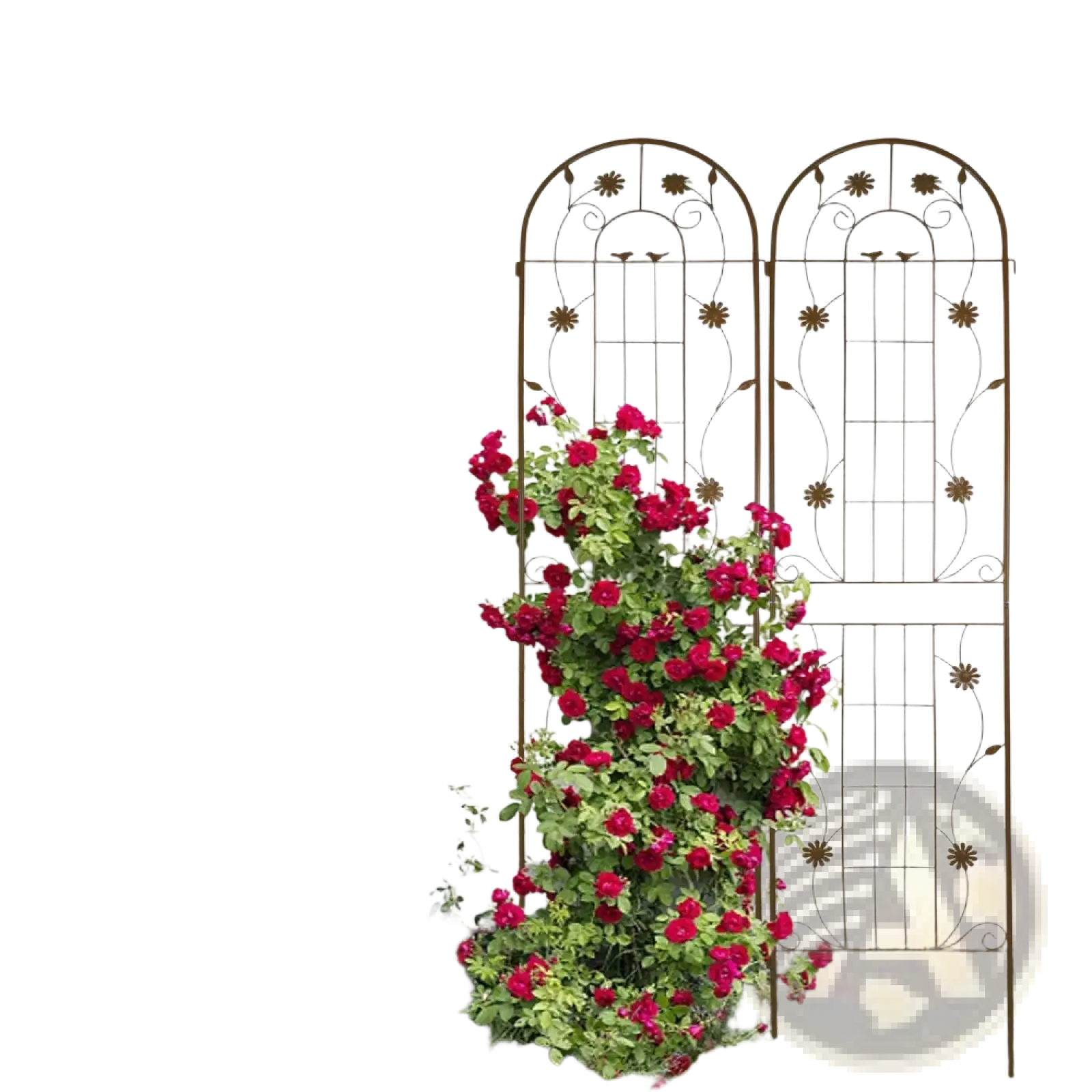 Metal Garden Trellis 2 Pack Arched Rose Flower Support