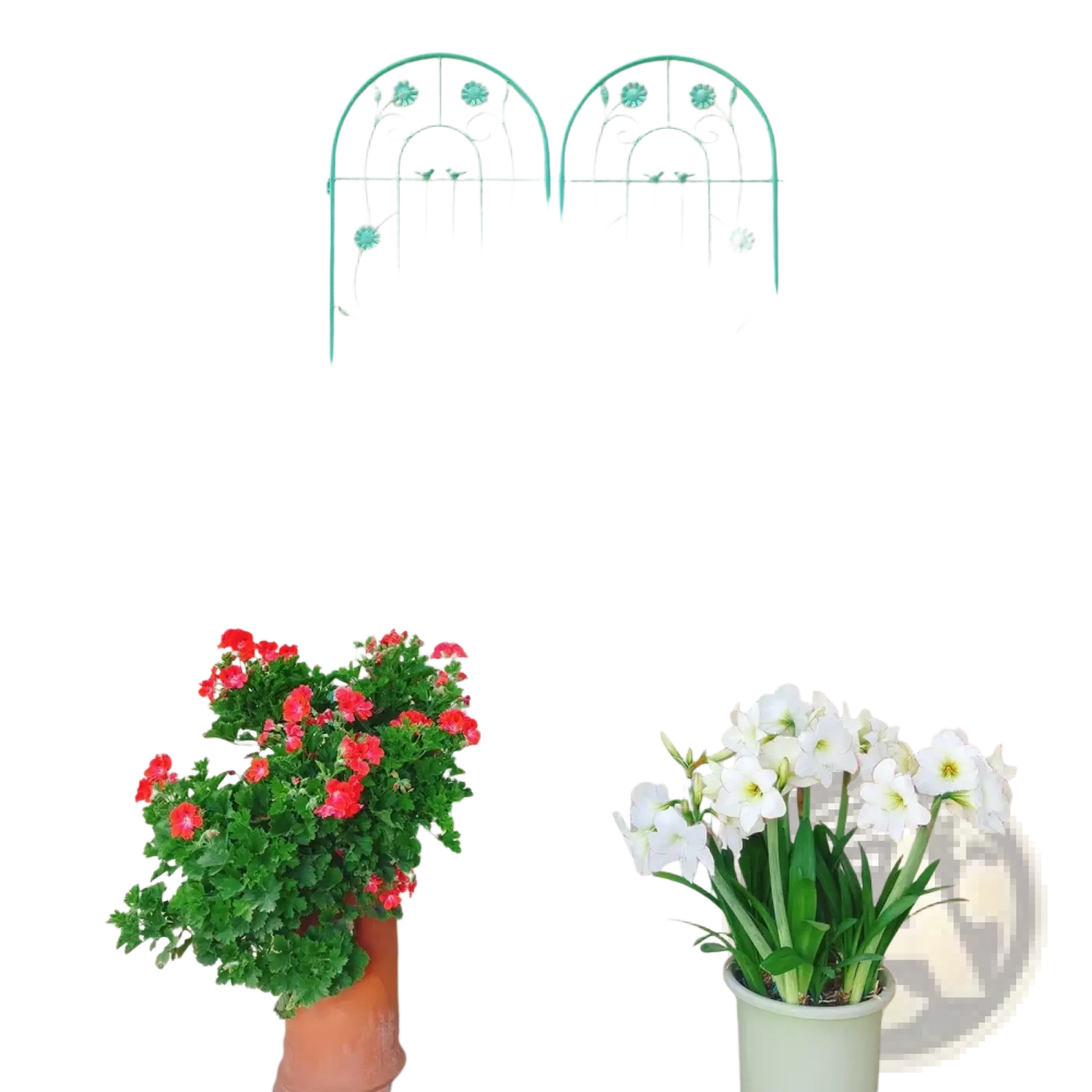 Metal Garden Trellis 2 Pack Arched Rose Flower Support