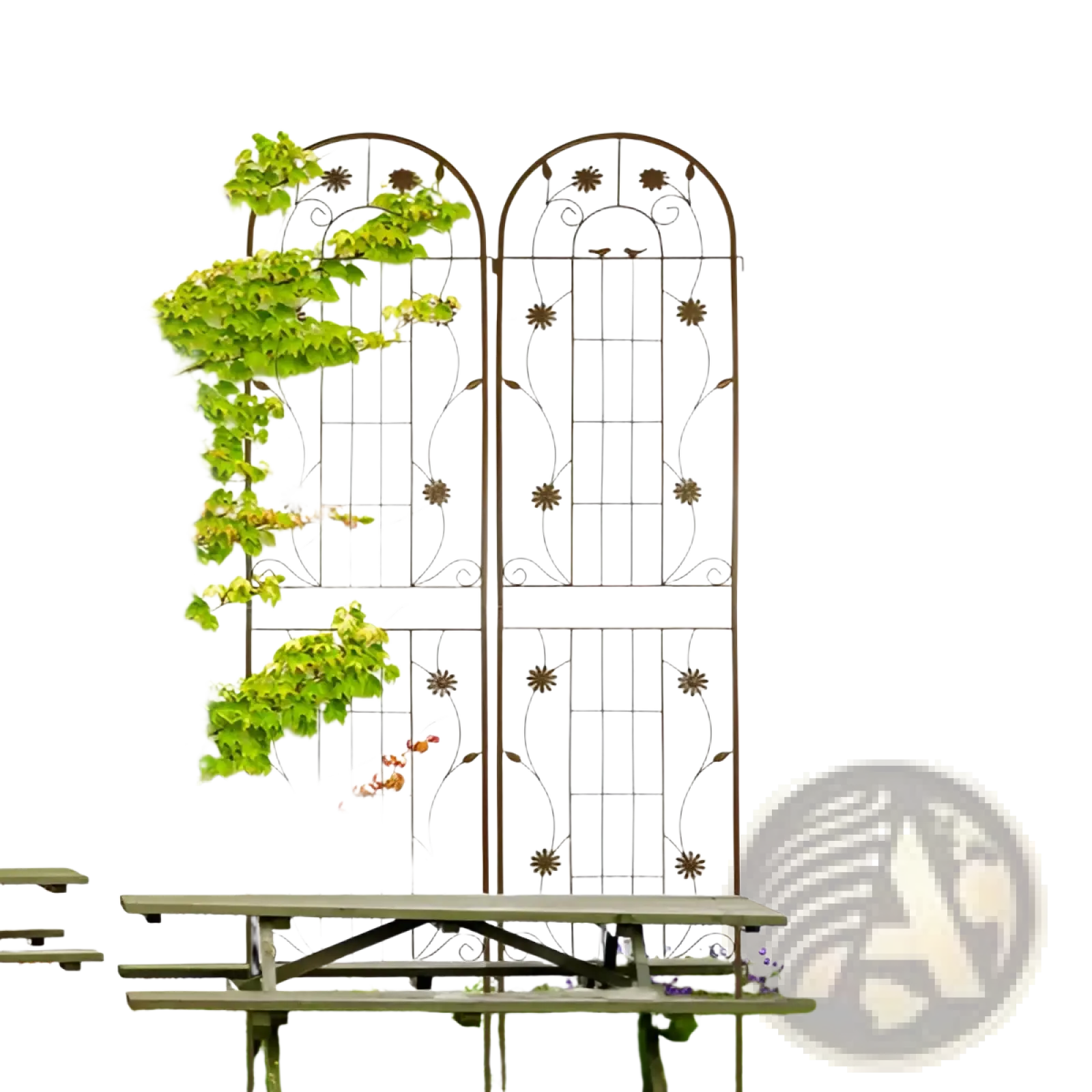 Metal Garden Trellis 2 Pack Arched Rose Flower Support