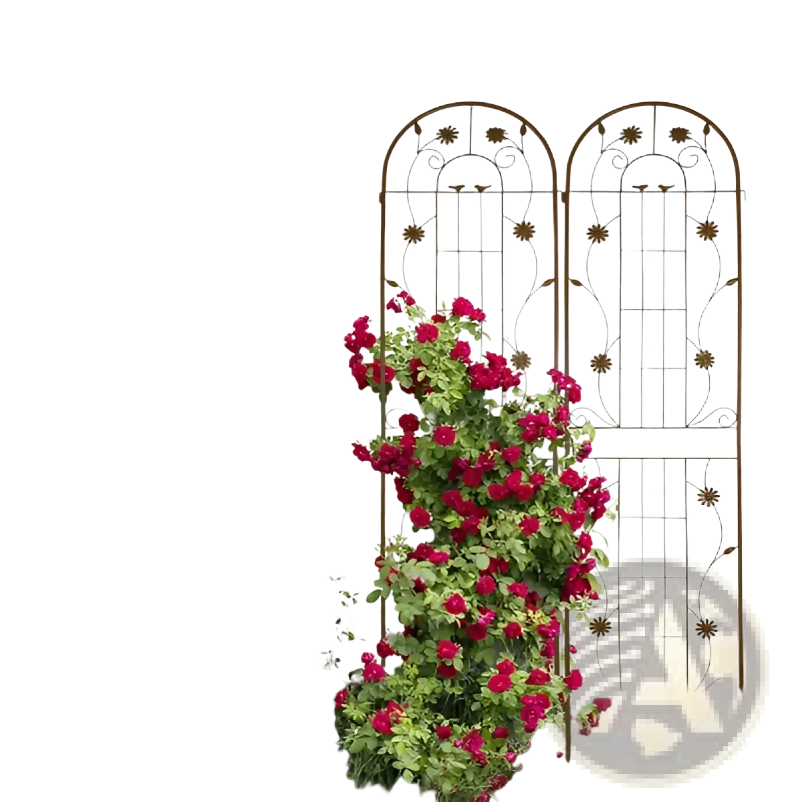 Metal Garden Trellis 2 Pack Arched Rose Flower Support
