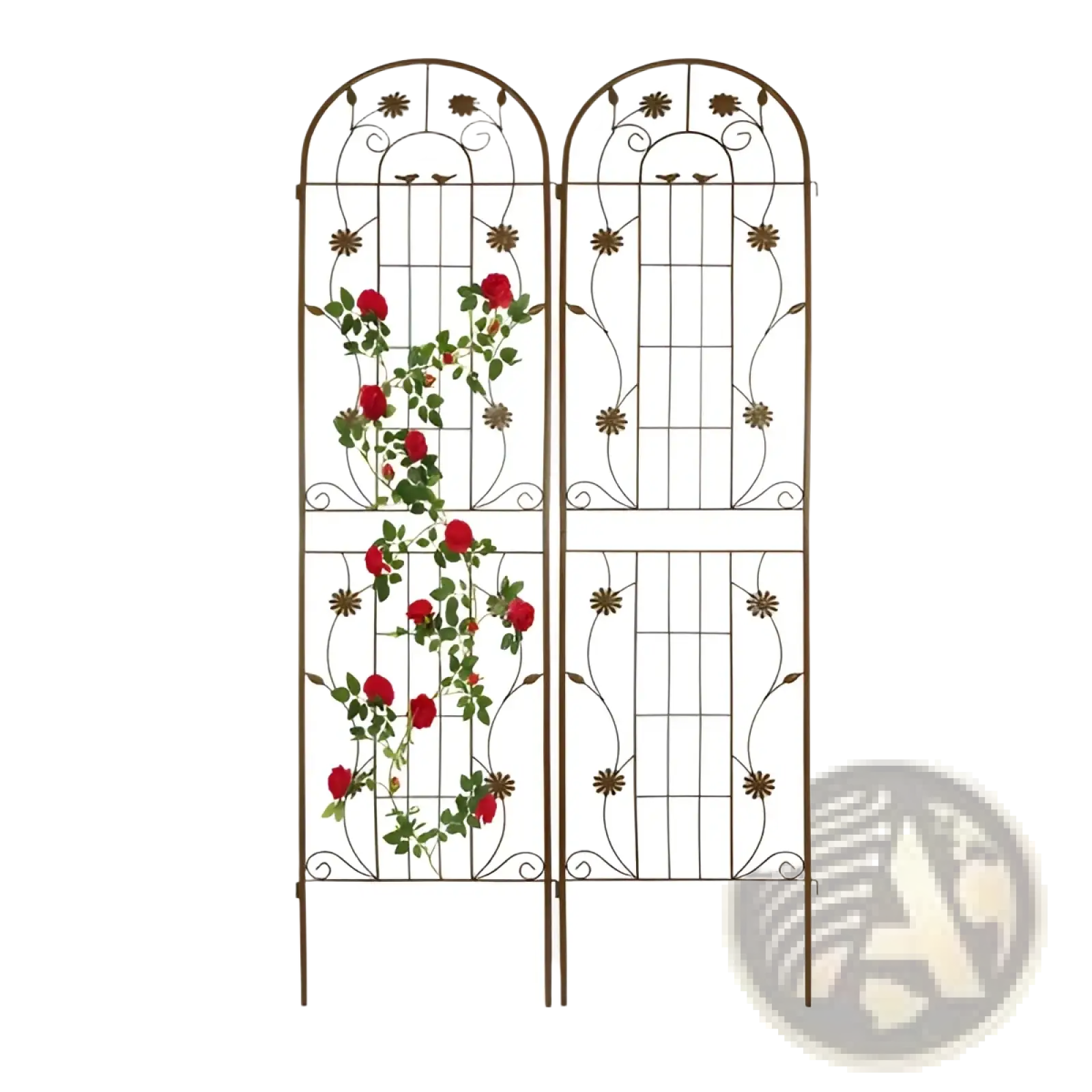 Metal Garden Trellis 2 Pack Arched Rose Flower Support