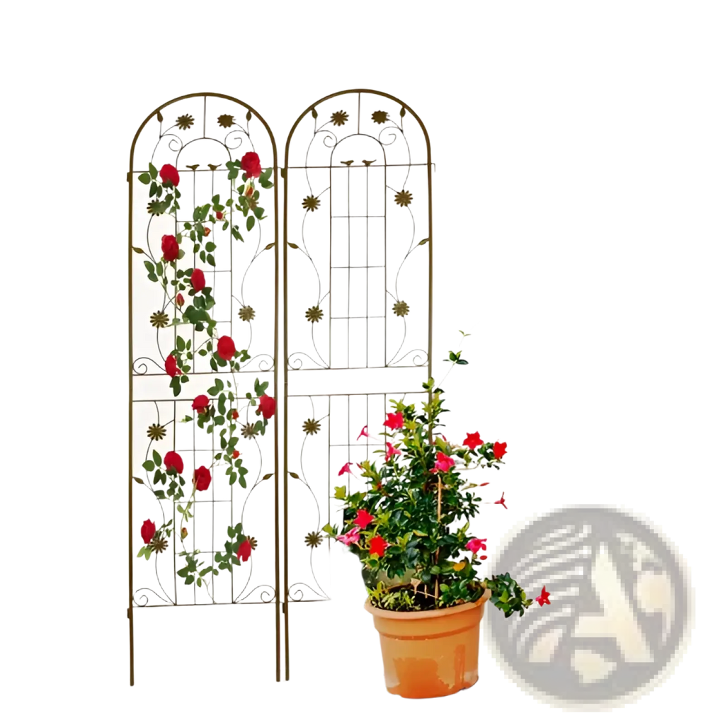 Metal Garden Trellis 2 Pack Arched Rose Flower Support