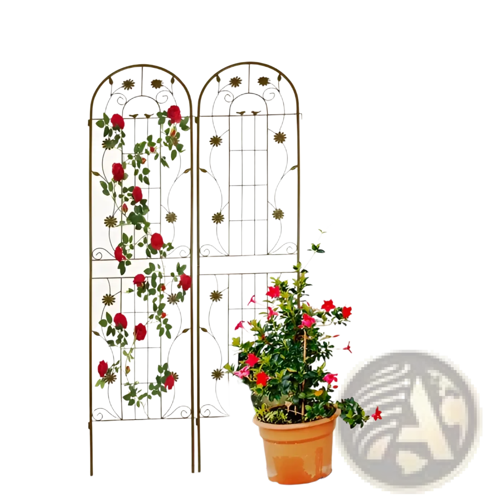 Metal Garden Trellis 2 Pack Arched Rose Flower Support